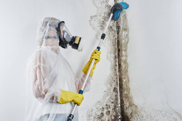 Mold Remediation for Vacation Homes in Flagtown, NJ